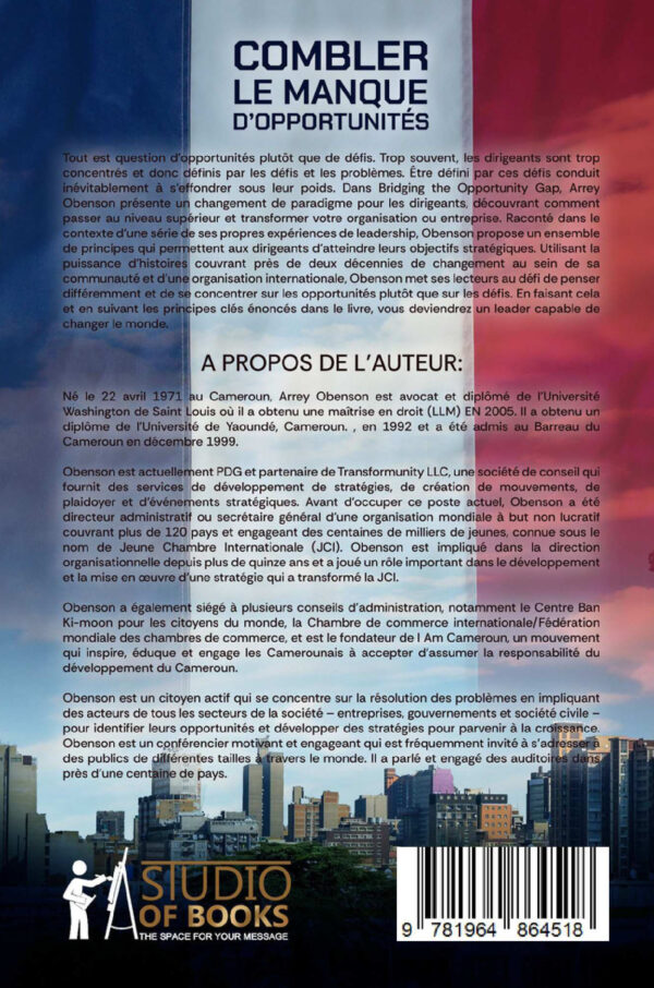 COMBLER LE MANQUE D'OPPORTUNITÉS - Image 2